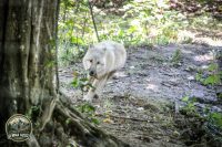 Watermark_35IMG_1036