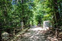 Watermark_45IMG_1047