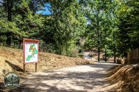 Watermark_4IMG_1004