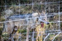 Watermark_54IMG_1056