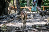 Watermark_56IMG_1058