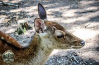 Watermark_61IMG_1063