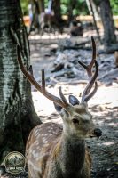 Watermark_64IMG_1066