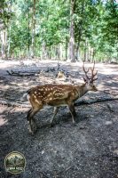 Watermark_67IMG_1069
