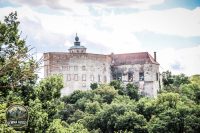 Watermark_71IMG_1073