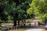 Watermark_87IMG_1090