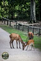 Watermark_88IMG_1091
