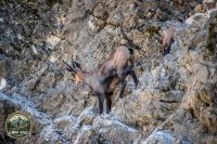 Watermark_8IMG_1008
