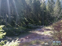 IMG_20200727_113425