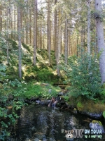 IMG_20200727_113833