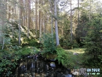 IMG_20200727_113854
