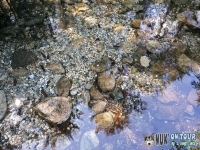 IMG_20200727_114001