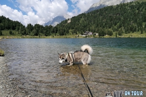Ausflug zum Obersee im Defereggental (30.07.2020)