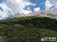 IMG_20200730_115045