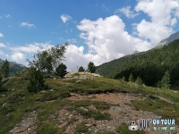 IMG_20200730_115057