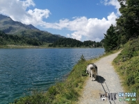 IMG_20200730_115913