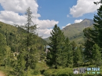 IMG_20200730_131853