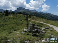 IMG_20200730_132856