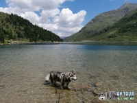 IMG_20200730_133456