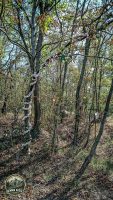 Watermark_19IMG_20260912_151747