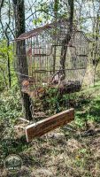 Watermark_36IMG_20260912_152138