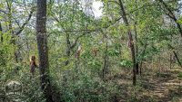 Watermark_40IMG_20260912_152312