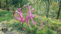 Watermark_46IMG_20260912_152518