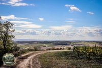 Watermark_114IMG_1746