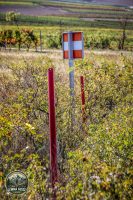 Watermark_119IMG_1750