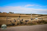 Watermark_11IMG_1644