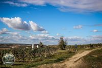 Watermark_122IMG_1751