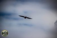 Watermark_134IMG_1763