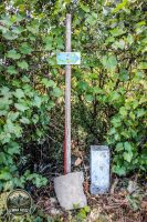 Watermark_137IMG_1767