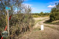 Watermark_138IMG_1768