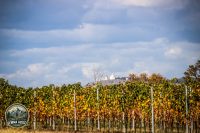 Watermark_139IMG_1769
