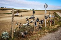 Watermark_13IMG_1645