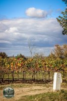 Watermark_144IMG_1774