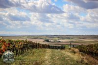 Watermark_145IMG_1775