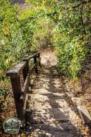 Watermark_154IMG_1784