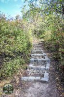 Watermark_158IMG_1788
