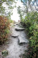 Watermark_159IMG_1789