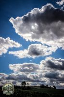 Watermark_168IMG_1798