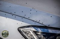 Watermark_179IMG_1811