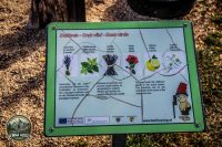 Watermark_22IMG_1653