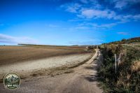 Watermark_30IMG_1661
