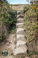 Watermark_34IMG_1665