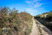 Watermark_35IMG_1666