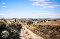 Watermark_36IMG_1667