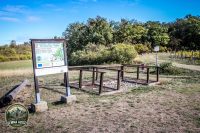 Watermark_38IMG_1669