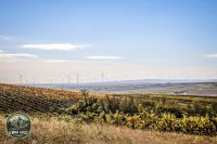 Watermark_44IMG_1676